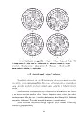 Sezoninės augalų dekoratyvumo kaitos tyrimai želdynuose 16 puslapis