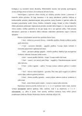 Sezoninės augalų dekoratyvumo kaitos tyrimai želdynuose 20 puslapis