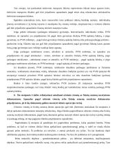 Mokesčių audito referatas: apmokestinamojo pelno apskaičiavimo tvarka 4 puslapis