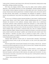 Mokesčių audito referatas: apmokestinamojo pelno apskaičiavimo tvarka 6 puslapis