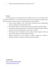 Mokesčių audito referatas: apmokestinamojo pelno apskaičiavimo tvarka 8 puslapis