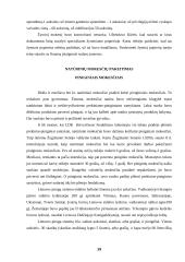 Mokesčių teorijos raida Lietuvos Didžiosios Kunigaikštystės laikotarpyje 20 puslapis
