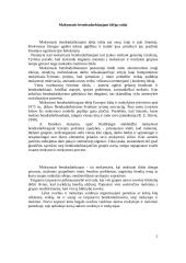 Mokymasis bendradarbiauti. Mokytojo vaidmuo organizuojant pamokas 4 puslapis