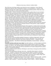 Mokymosi motyvacijos žadinimas ir skatinimas 2 puslapis