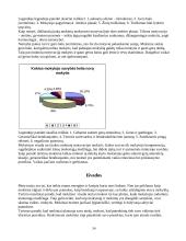 Mokymosi motyvacijos žadinimas ir skatinimas 12 puslapis