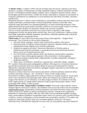 Mokymosi motyvacijos žadinimas ir skatinimas 7 puslapis