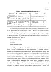 Mokinio įvaizdis šiuolaikinėje visuomenėje 7 puslapis