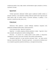 Molekulių prasiskverbimas pro plazminę membraną 5 puslapis