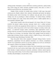 Sociokultūrinės aplinkos įtaka paauglių dvasinių vertybių pasirinkimui 12 puslapis