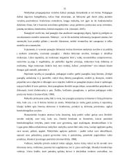 Sociokultūrinės aplinkos įtaka paauglių dvasinių vertybių pasirinkimui 15 puslapis