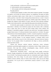 Sociokultūrinės aplinkos įtaka paauglių dvasinių vertybių pasirinkimui 18 puslapis