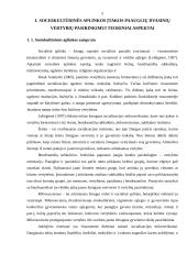 Sociokultūrinės aplinkos įtaka paauglių dvasinių vertybių pasirinkimui 5 puslapis