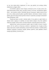 Sociokultūrinės aplinkos įtaka paauglių dvasinių vertybių pasirinkimui 7 puslapis