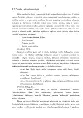 Sociokultūrinės aplinkos įtaka paauglių dvasinių vertybių pasirinkimui 8 puslapis