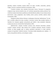 Sociokultūrinės aplinkos įtaka paauglių dvasinių vertybių pasirinkimui 10 puslapis