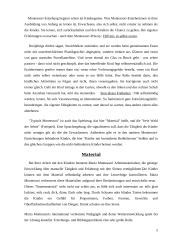 Montessori Pädagogik 5 puslapis