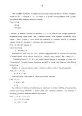Aritmetiniai ženklai ir žymenys 5 puslapis