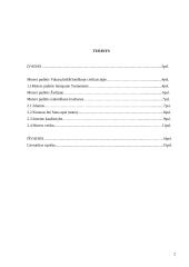 Moters padėtis Vakarų krikščioniškoje ir islamiškoje civilizacijose 2 puslapis