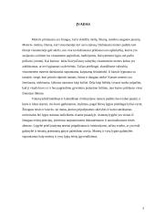 Moters padėtis Vakarų krikščioniškoje ir islamiškoje civilizacijose 3 puslapis