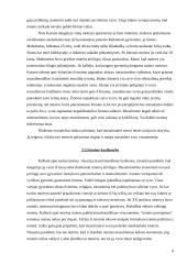 Moters padėtis Vakarų krikščioniškoje ir islamiškoje civilizacijose 9 puslapis