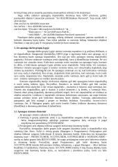 MS Access duomenų bazių apsauga 4 puslapis