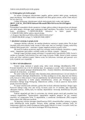 MS Access duomenų bazių apsauga 6 puslapis