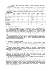 MS Access duomenų bazių apsauga 9 puslapis