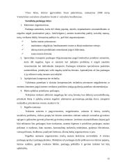 Šeimos politika Lietuvoje 14 puslapis