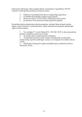 Multimedija, multimedijinės sistemos 13 puslapis