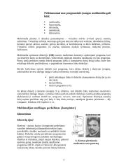 Multimedija, multimedijinės sistemos 3 puslapis