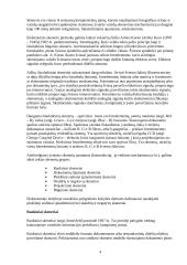 Multimedija, multimedijinės sistemos 4 puslapis