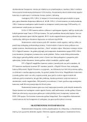 Multimedijos sistemos įranga ir jos tipai 10 puslapis