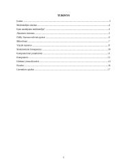 Multimedijos sistemos įranga ir jos tipai 2 puslapis