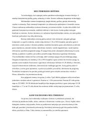 Multimedijos sistemos įranga ir jos tipai 4 puslapis