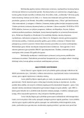 Multimedijos sistemos įranga ir jos tipai 5 puslapis