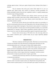 Multimedijos sistemos įranga ir jos tipai 7 puslapis