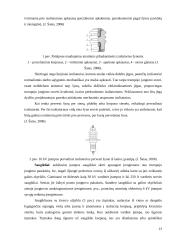 Transformatorinės pastotės projektavimas: AB "VST" Šilutės-Šilalės skyriaus 13 puslapis