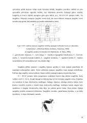 Transformatorinės pastotės projektavimas: AB "VST" Šilutės-Šilalės skyriaus 14 puslapis