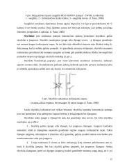 Transformatorinės pastotės projektavimas: AB "VST" Šilutės-Šilalės skyriaus 15 puslapis