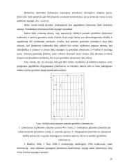Transformatorinės pastotės projektavimas: AB "VST" Šilutės-Šilalės skyriaus 19 puslapis