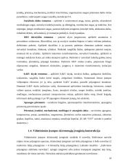 Transformatorinės pastotės projektavimas: AB "VST" Šilutės-Šilalės skyriaus 10 puslapis