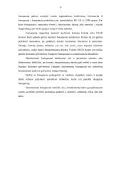 Multimedijos sistemos įranga bei įrangos tipai 11 puslapis