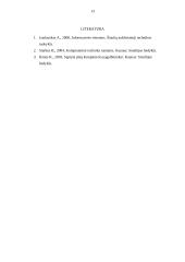 Multimedijos sistemos įranga bei įrangos tipai 13 puslapis