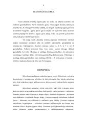 Multimedijos sistemos įranga bei įrangos tipai 4 puslapis