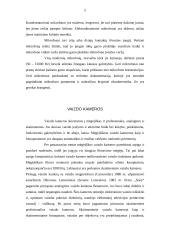 Multimedijos sistemos įranga bei įrangos tipai 5 puslapis