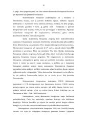 Multimedijos sistemos įranga bei įrangos tipai 10 puslapis