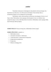 Multimedijos sistemos įranga bei jos rūšys 2 puslapis