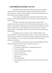 Multimedijos sistemos įranga bei jos rūšys 3 puslapis