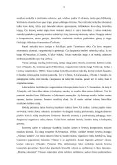 Muzikinės kultūros ugdymas Lietuvoje iki antrojo pasaulinio karo 6 puslapis