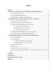 Vadovavimo raiška gimnazijose 2 puslapis